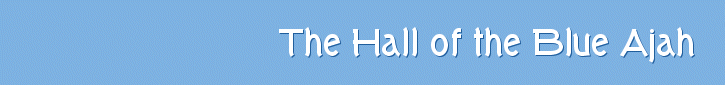 The Hall of the Blue Ajah