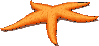 starfish = pe`a