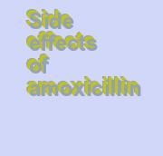 dog amoxicillin side effects