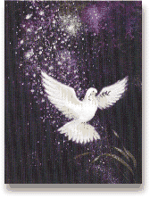 dove representing the spirit
