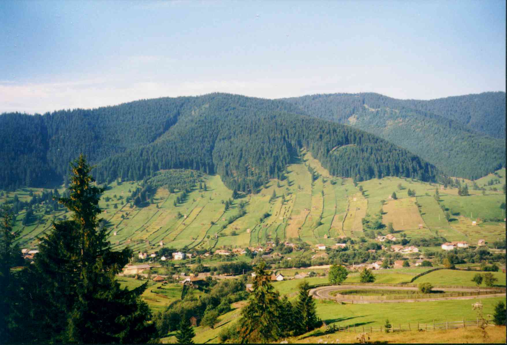 Bucovina landscape