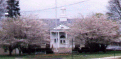 [Shillington Town Hall in Spring]