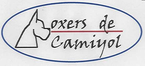 BOXERS DE CAMIYOL