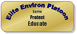 The badge of the E2P
