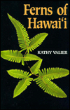Ferns of Hawaii
