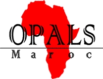 organisation panafricaine de lutte contre le sida Maroc