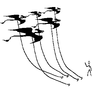 Image -- Pterosaur kites