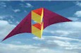 Delta Conyne kite