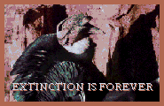 [Extinction is forever]