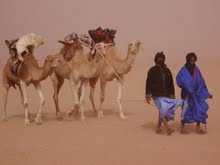 Maratón del Sahara