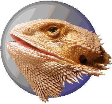 Jurassic Pets Logo. A yellow bearded dragon's head floating in front of a steel-blue globe.