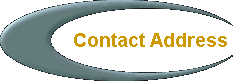  Contact Address 