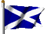 scot_flag