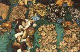 Culinary Tours - fantastic selection of mushrooms