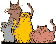 [Four Cats]