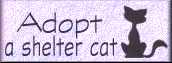 [Please 
save a life! - Adopt your next pet from your local shelter!]