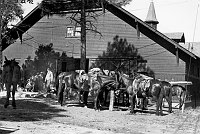 MULE PACK TRAIN READY TO START RESCUE OF ARMY FLIERS WHO PARACHUTED INTO CANYON. FRED HARVEY MULE BARN. 27 JUNE 1944. NPS, BRYANT.