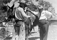 MULE WRANGLING IS A FAVORITE SPORT AND OCCUPATION AT THE GRAND CANYON, AND MAYOR FIORELLO LAGUARDIA OF NEW YORK CITY, DURING HIS VISIT, GREATLY ENJOYED HIS LESSONS. APR 1935. NPS. 