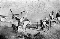FADED PHOTO OF MULE PARTY PREPARING TO LEAVE HERMIT CAMP. ROW OF CABINS BEHIND. 26 JULY 1919. MADDEN.
