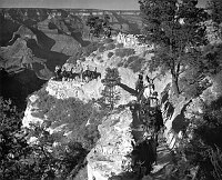 MULE TRAIN TOPPING OUT BRIGHT ANGEL TRAIL. &quotLATE AFTERNOON FINDS A TRAIL PARTY RETURNING TO THE SOUTH RIM OF THE GRAND CANYON OF ARIZONA, IN AMPLE TIME TO WITNESS THE SHADOWS OF NIGHT CREEP STEADILY HIGHER AND THE CHANGING COLORS FADE."  CIRCA 194