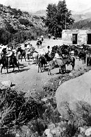 FRED HARVEY MULE STRING ARRIVING AT INDIAN GARDENS. CAMERON'S CAMP, THE STONE BUILDING BEHIND MULES. CIRCA 1911. MATTOCK