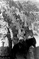 MULE RIDE PHOTO. WWII SOLDIERS IN UNIFORM. 22ND ARMORED FIELD ARTILLERY. 29 APR 1943. KOLB PHOTO.