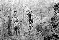 TRANS-CANYON TELEPHONE LINE CONSTRUCTION -   2 CCC ENROLLEES ATTACHING LINE TO POLE IN CANYON. CIRCA 1935<br><br>