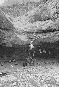 The ladder to the spring at Bed Rock Camp, by George Wharton James, 1900