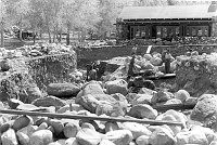 ECW - CCC COMPANY 818 CONSTRUCTING THE SWIMMING POOL AT PHANTOM RANCH. EXCAVATION OF LARGE RIVER COBBLES. CIRCA 1934. NPS