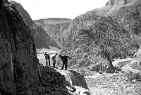 C.C.C. ENROLLEES WORKING ON THE CONSTRUCTION OF THE RIVER TRAIL ABOVE PHANATOM RANCH - BRIGHT ANGEL CREEK DELTA.  CIRCA 1935 NPS PHOTO.