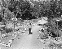BOY CARRYING A FISHING POLE IS WALKING SOUTH BELOW THE BRIGHT ANGEL CAMPGROUND. SIGNS FOR PHANTOM RANCH, USGS AND CAMPGROUND. 19 JUNE 1963. NPS, WOLFE