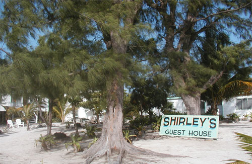 Shirley's Guest House