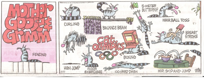 The Cat Olympics!