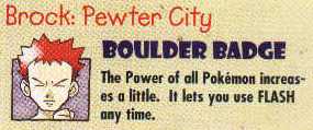 Brock of the Pewter City Gym