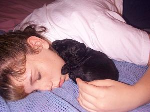 sleeping with a puppy