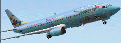 TCA Boeing 737-300 in 5 years birthday livery
