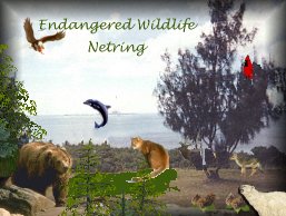 Endangered Wildlife Netring