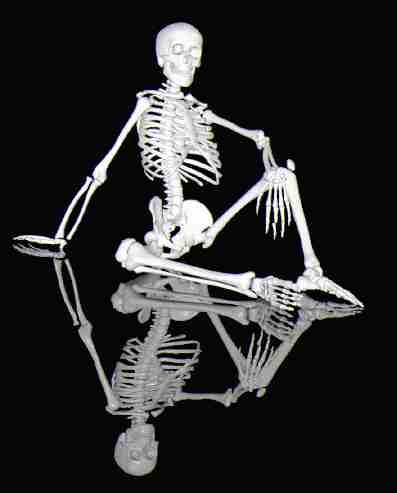 Bild des Skelettes