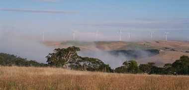 Fog below turbines