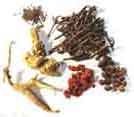 Medicine Acupuncture Herbal Treatment Cure Stroke  Herbs Kuala Lumpur Treatment Cure Centre