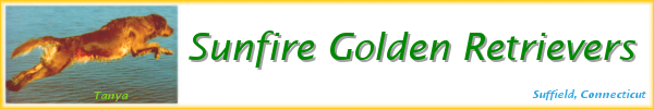 Sunfire Golden Retrievers Logo; Link Home; from Suffield, Connecticut