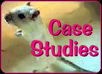 Gerbil Case Studies