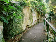 Cremorne Reserve path