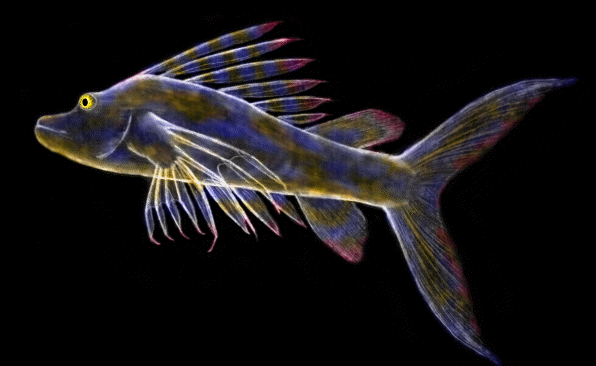 fish-like alien