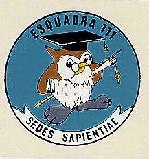 Esquadra 111(Squadron 111)