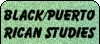Black & Puerto Rican Studies