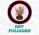 dry foliages/LINK4.jpg