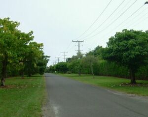 Peaceful manicured Clarke Road