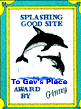 Ginny's Award