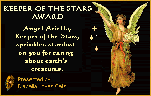 Handsome's Keeper Of The Stars Award